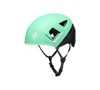 Climbing helmet Black Diamond CAPITAN E HELMET (Clean Green)