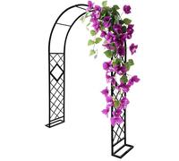 Climbing Morning Glory Plant Trellis Heavy Duty Steel Garden Arbor Arch for Outdoor Weddings & Parties Stable Pergola Decoration 3.40m x 2.40m Black
