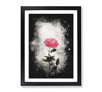 Climbing Pink Rose Paint Splash Modern Framed Print | A2 Black Framed Wall Art | Ready to Hang | Modern Floral Picture | Living Room Bedroom Lounge Office