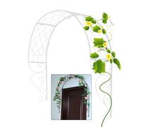 Climbing Plant Trellis - Wall-Mounted Wrought Iron Support Frame for Outdoor Plants, Ideal for Climbing Flowers and Window Shade Applications