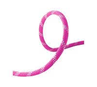 Climbing rope Edelrid Performance Static 10,5 mm Pink 50 m