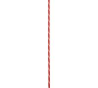 Climbing rope Edelrid PES 4mm Rouge 8 m
