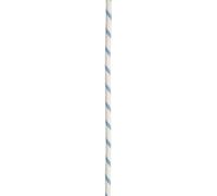 Climbing rope Edelrid Prostatic SyncTec 10,5mm Blanc 200 m
