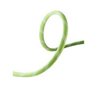 Edelrid Static Low Stretch 11.0 Mm Rope Green 100 m