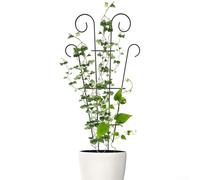 Climbing Vine Plant Frame, Flower Frame, Thickened Tube Plant Tower, Rust-Proof Garden Obelisk, Suitable For Indoor And Outdoor Use