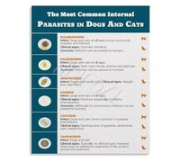 Clinic Poster Dog Cat Parasites