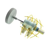 Clinical Teaching Spine Model Expanded Spinal Cord Footpaths Detailed PVC Structure Demonstration Tool Professional Clinical Tool