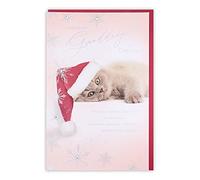 Clintons: Kitten In Santa Hat Granddaughter Christmas Card 155 x 235, Multi-Colour,1149058