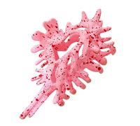 Clip À Griffe De Conque, Clips De Griffe, Coiffure CLLAW | Accessoire Cheveux Créatif | Courbe Fluid, Ce Clip À Pour Le Mariage Les Vacances, Sports, Sports, La Fête, La Mâchoire Pour
