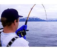 Clip: Giant Halibut Action- Sitka Alaska | Part 2