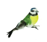 Gisela Graham: 3 feather Blue tit on clip,Christmas decoration, (set of 3) New for 2016
