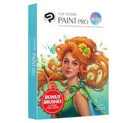 CLIP STUDIO PAINT PRO - Version 4 | Perpetual License | for Windows and macOS