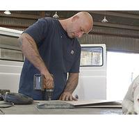 Clip: Two Falcons Part 2