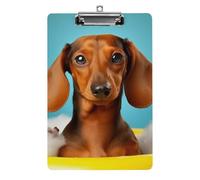 Clipboard, A4 Size Acrylic Clipboard, Dachshund Dog Decorative Standard Clipboards with Stainless Steel Hanging Hole, Portable Document Organizer for Office Supplies