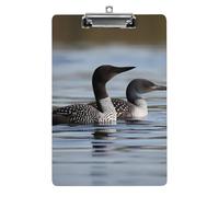 Clipboard, A4 Size Acrylic Clipboard, Loon Birds Decorative Standard Clipboards with Stainless Steel Hanging Hole, Portable Document Organizer for Office Supplies