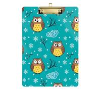 Clipboard Acrylic Cute Cartoon Owl Green Cute Clip Board for Classrooms, Restaurants, School Wordpad Clipboards Standard Size, A4 Letter Size 12.5 x 9 Inches Gold Clip