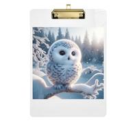 Clipboard Acrylic Cute Owl Print Cute Clipboards for Students, Women, Man Travel Clipboard Low Profile Gold Clip Retractable Hanging Tab 12.5 x 9 Inches