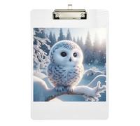 Clipboards Cute Owl Print Writing Clipboard for Classrooms, Restaurants, School Hanging Clipboards A4 Standard Size Low Profile Gold Clip Retractable Hanging Tab 12.5 x 9 Inches