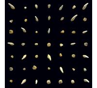 Clipping. - Visions Of Bodies Being Burned