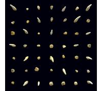 Clipping. - Visions Of Bodies Being Burned [CASSETTE]