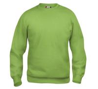 Clique Basic Roundneck Sweater Light Green M