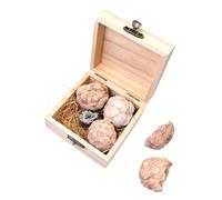 CLISPEED 1 Box Gemstones Mining Kit with Four Unique Crystal Sphere Specimens Educational Geology for Birthday Gifts Easy to Use Dig and Collect Real Gemstone Rocks Color and Shape