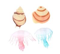 CLISPEED 1 Set Realistic Animal Model Jellyfish Shellfish Ornament for Educational Cognitive for Home Aquarium Decor Durable with Natural Color Transition