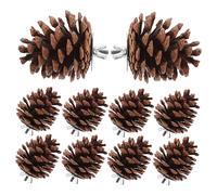 CLISPEED 10Pcs Parrot Chewing Pine Cone Foraging for Small Animals for Parakeets Cockatiels and Other Birds Durable and Engaging Shredding Fun