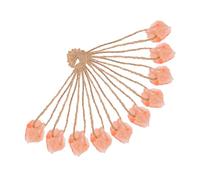 CLISPEED 10pcs Pink Mineral Salt Lick Blocks Rope, Natural Feeding Salt Bricks for Horses, Cattle, Deer and Alpacas, 30-50g Each, Livestock Nutrition for Farm Animals