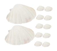 CLISPEED 12pcs Natural Seashell Baking Plates for Cooking and Steaming Smooth Scallop Trays for Seafood Snacks and DIY Crafts Lightweight Tableware for Grilling and Serving