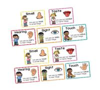 CLISPEED 2 Sets Preschool Learning Posters with Sensory Flash Cards for Early School Age Educational Wall Charts for Vocabulary Building and Classroom Decor