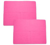 CLISPEED 2pcs Pet Quick Dry Bath Towels Super Absorbent Microfiber for Dogs and Cats, Lightweight Puppy Shower Towels for Grooming and Travel