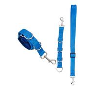 CLISPEED 3pcs Dog Grooming Kit Adjustable Leash Bathing Helper and Grooming Loop for Small Dogs