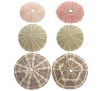 CLISPEED 6Pcs Sea Urchin Air Plant Pots Set 4-7Cm Pink and Green Urchin Shell Planters, Mediterranean Shell Design Miniature Flowerpots for Indoor Gardening and Fish Tank Random Color