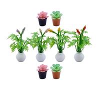 CLISPEED 8PCS Miniature Potted Flower Models for Dollhouse Realistic Faux Succulent Plants in Pink Red Purple Yellow and Green Ornaments for Dollhouse Decoration and Craft Projects