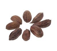 CLISPEED 8pcs Natural Dried Fruit Bird Chewing Foraging for Parakeet Budgie Parrot Cage Accessories Healthy Bite Companion