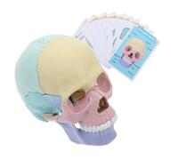 CLISPEED Detachable Human Skull Model for Anatomy Study Medical Skull with Detailed Anatomical Structure Easy to Assemble and Disassemble Educational Skeleton Prop for Medical Learning and