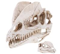 CLISPEED Dinosaur Skull Ornament Resin Dilophosaurus Skull Decor for Home Bar Halloween Party Crafts Random Color