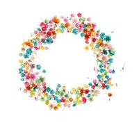 CLISPEED DIY Dried Flowers for Nails and Crafts Star Flower Heads Pack with Approx for Epoxy Resin Candle Making Phone Cases and Handmade Decorations