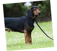 CLISPEED Double Handle Pet Walking Leash for Small and Medium Dogs Ergonomic Labour Saving Design with Enhanced Control and Double Security Rope Comfortable Outdoor Training Lead in Grey
