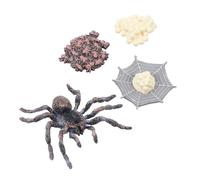 CLISPEED Educational Animal Figure Set with Realistic Growth Stages Safe Non Toxic Plastic Models for Teaching Life Cycle Creative Decor and Fun Learning
