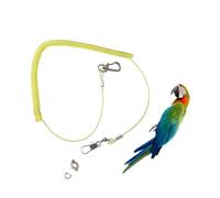 CLISPEED Elastic Parrot Leash Training Rope with Anti-bite Flying Harness and Claw Ring Chew-resistant Steel Wire for Outdoor Bird Flight Training and Walking Random Color