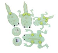 CLISPEED Frog Growth Cycle Model Tadpole Learning Kit for Students DIY Biology Educational Tool Enhancing Animal Growth Understanding Through Engaging Activities