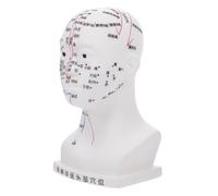 CLISPEED Head Acupuncture Model for Medical Teaching Precise Acupoint Point Head Model with Four Functional Zones Realistic White Small Anatomy for Study and Massage Training