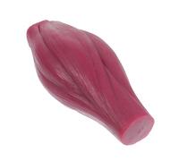 CLISPEED Human Body Muscle Model with Base Realistic Anatomy Teaching Tool for Students Fitness Motivation and Educational Display
