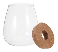 CLISPEED Hydroponic Glass Vases with Wood Cork Stopper 2 Sets for Plant Propagation and Bamboo Tray Base, Glass Planters for Orchids and Leaf Cuttings, for Windowsill or Wedding