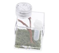 CLISPEED Jumping Spider Habitat Box Medium Humidifier and Feeding Port, Insect Terrarium Cage Mini Lamp for Florida Jumping Spider Raising