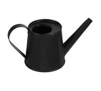 CLISPEED Mini Watering Can for Succulents with Long Spout Galvanized Iron Indoor Plant Pot Watering Portable Decorative Kettle for Small Plants and Home Gardening