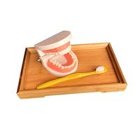CLISPEED Preschool Teeth Cleaning Model Educational Tooth Brushing and Bamboo Base Safe Learning Tool for Boys