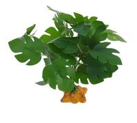 CLISPEED Realistic Artificial Reptile Terrarium Plants in Green with Safe Abs and Resin Material, High Realism Fake Plants for Amphibian and Fish Tank Habitat Decoration